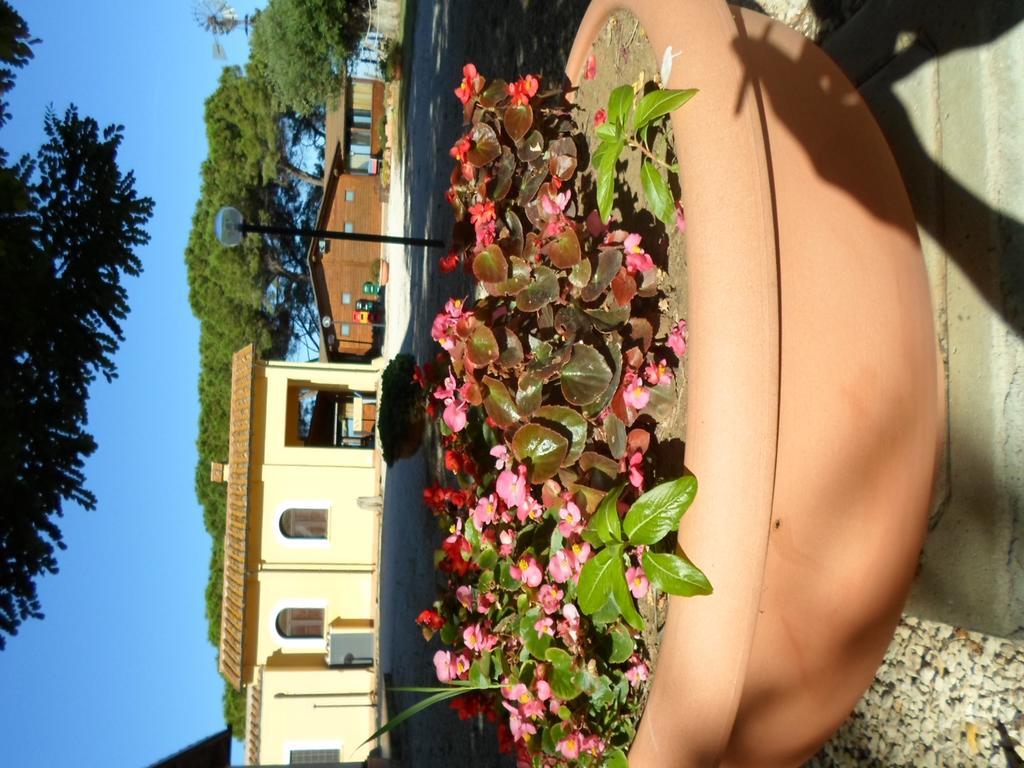 Agriturismo Toscanella Montebello Extérieur photo